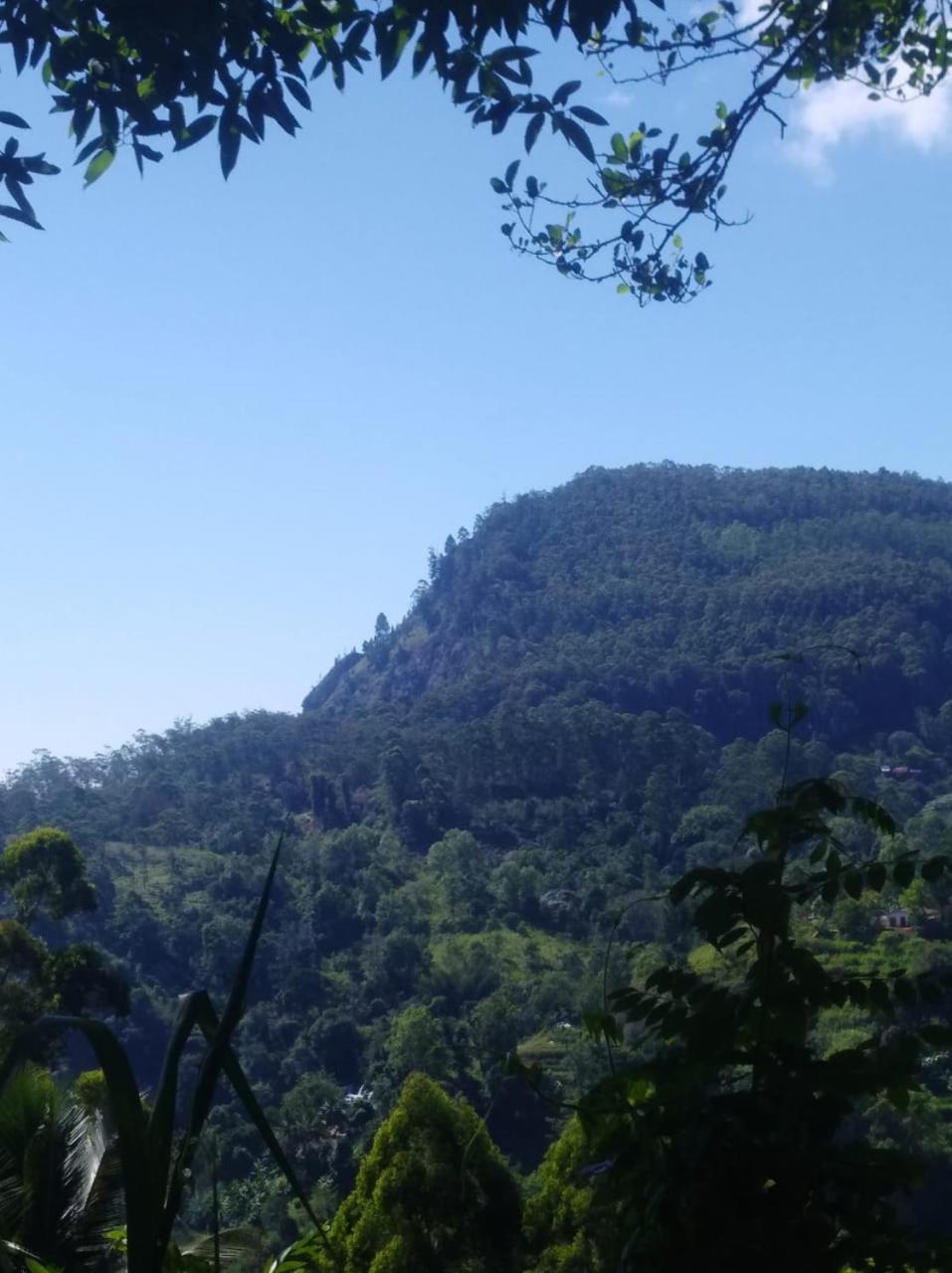 Himansa Homestay Ella Zewnętrze zdjęcie