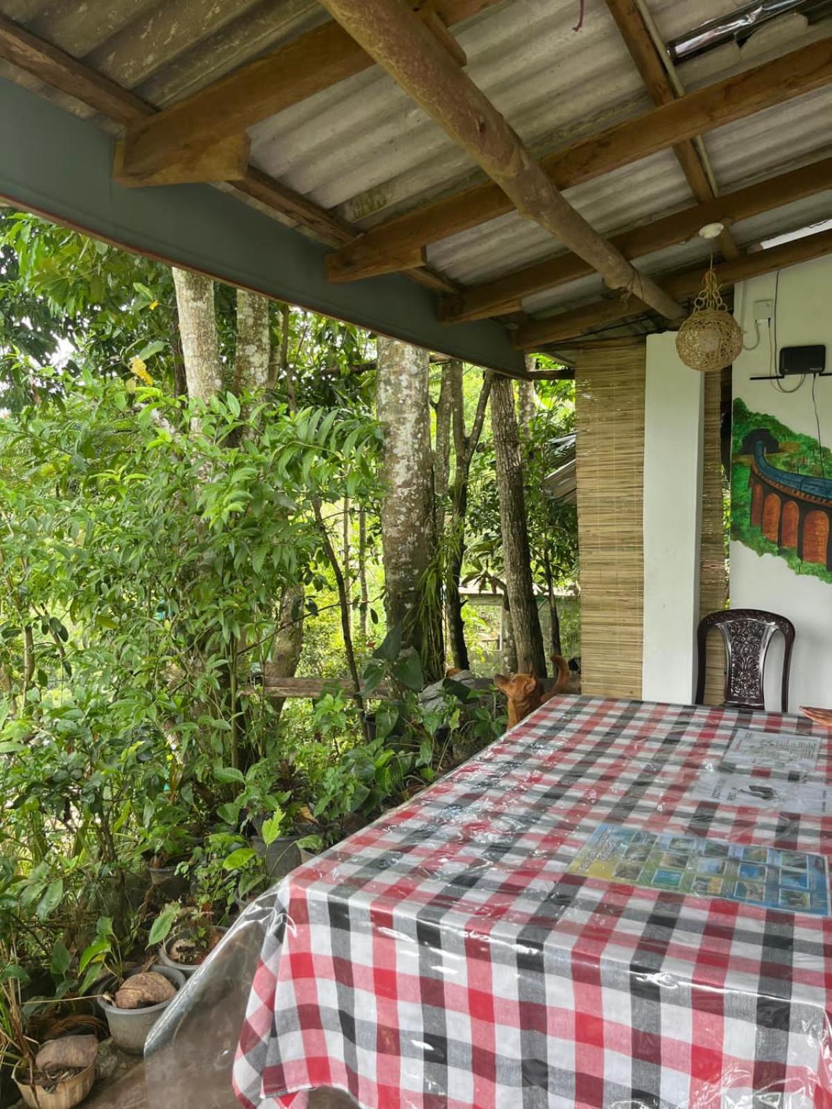 Himansa Homestay Ella Zewnętrze zdjęcie