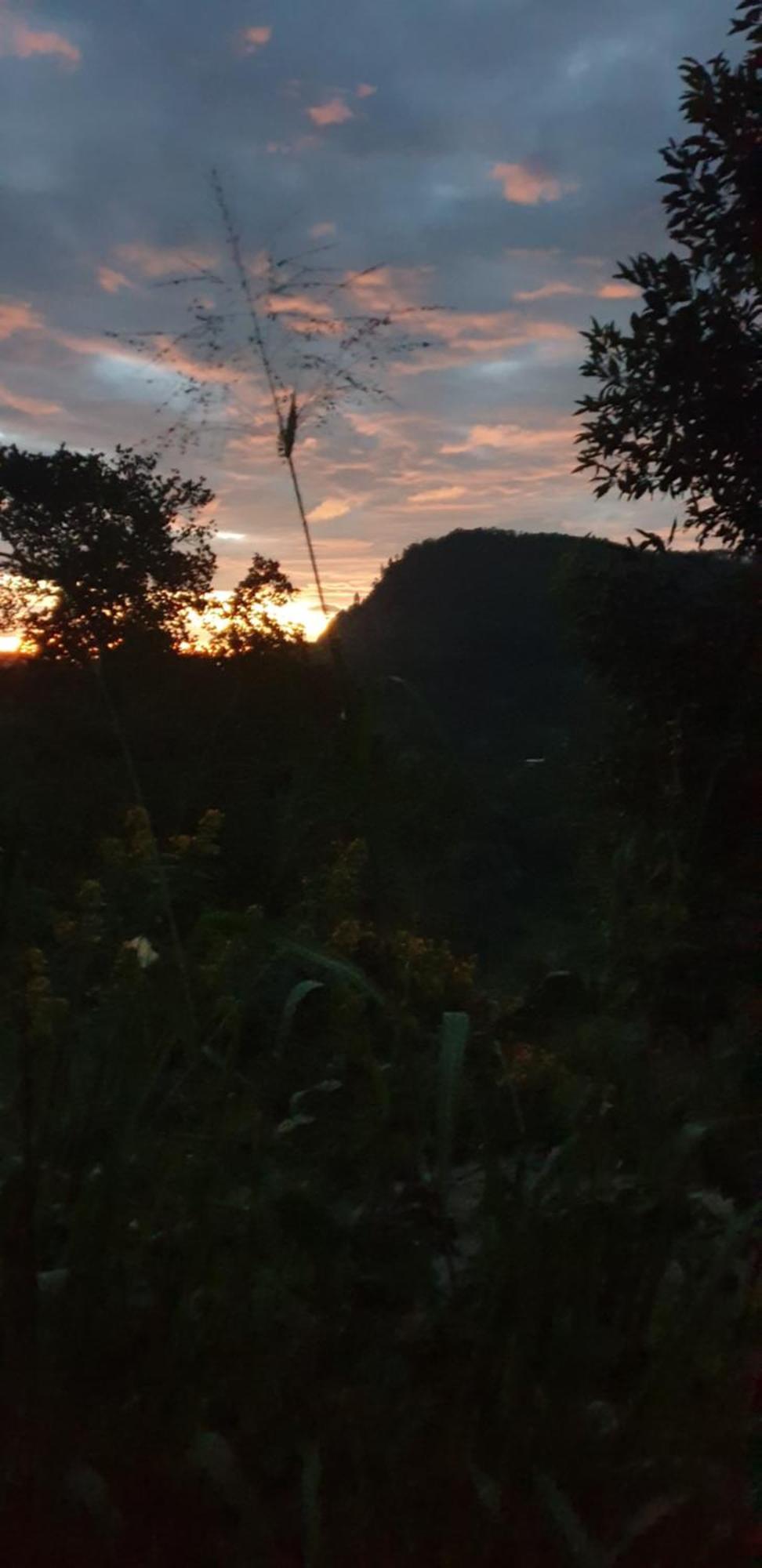 Himansa Homestay Ella Zewnętrze zdjęcie